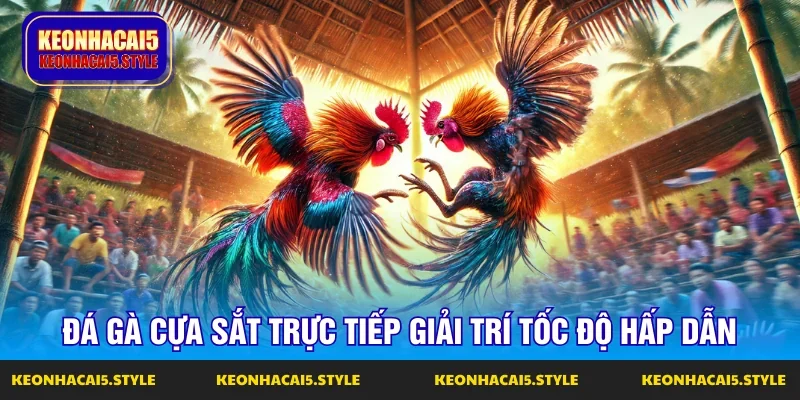 da ga cua sat truc tiep hinh thuc dau day toc do