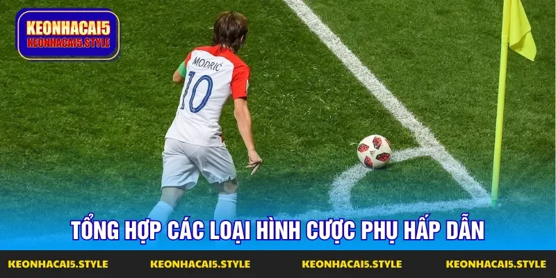 nhung keo nha cai phu duoc cac bet thu ua chuong