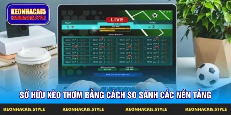 so sanh cac nen tang ca cuoc de so huu keo thom