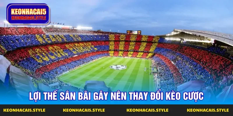 yeu to san bai gay su anh huong len ty le keo dau xuat hien