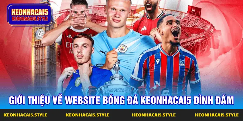 gioi thieu ve website bong da keonhacai5 dinh dam